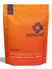 Load image into Gallery viewer, Tailwind Endurance Fuel 50 serving bag