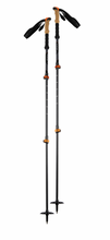 Load image into Gallery viewer, Life Sports Gear Sky Trail Trekking Carbon Poles