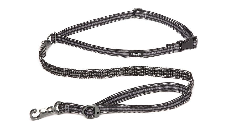 Stunt Puppy Stunt Runner Dog Leashes