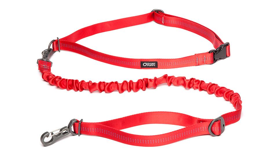 Stunt Puppy Stunt Runner Dog Leashes